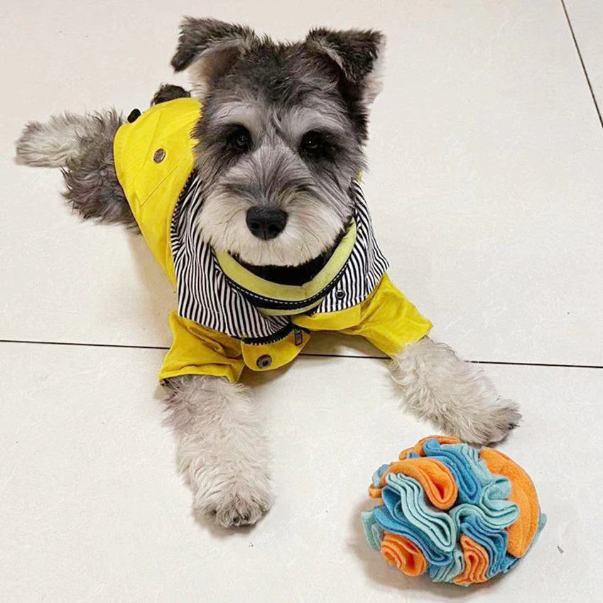 Snuffle Ball Dog Puzzle Toys Increase IQ Slow Dispensing Feeder Pet Cat Training Games Feeding Feeding Food Intelligence Toy