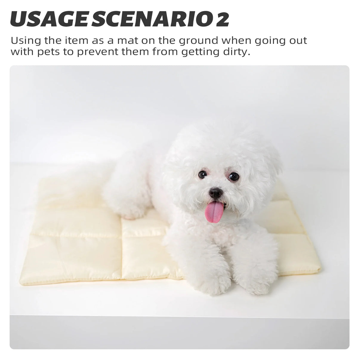 Flannel Pet Dog Bed Dog Sleeping Bed Mat Breathable Warm Pet Beds Cushion for Small Dogs Cat Pets Accessories for Pet Bag